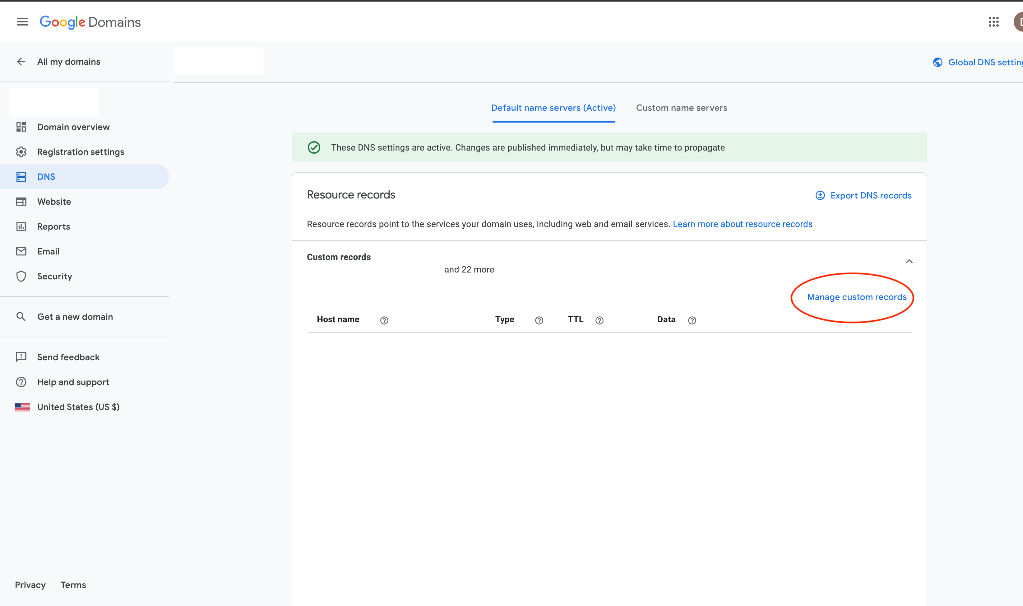 Manage custom records