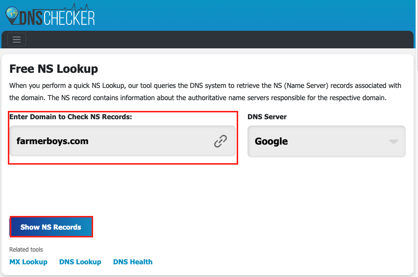 Show NS Records in the NS Lookup tool
