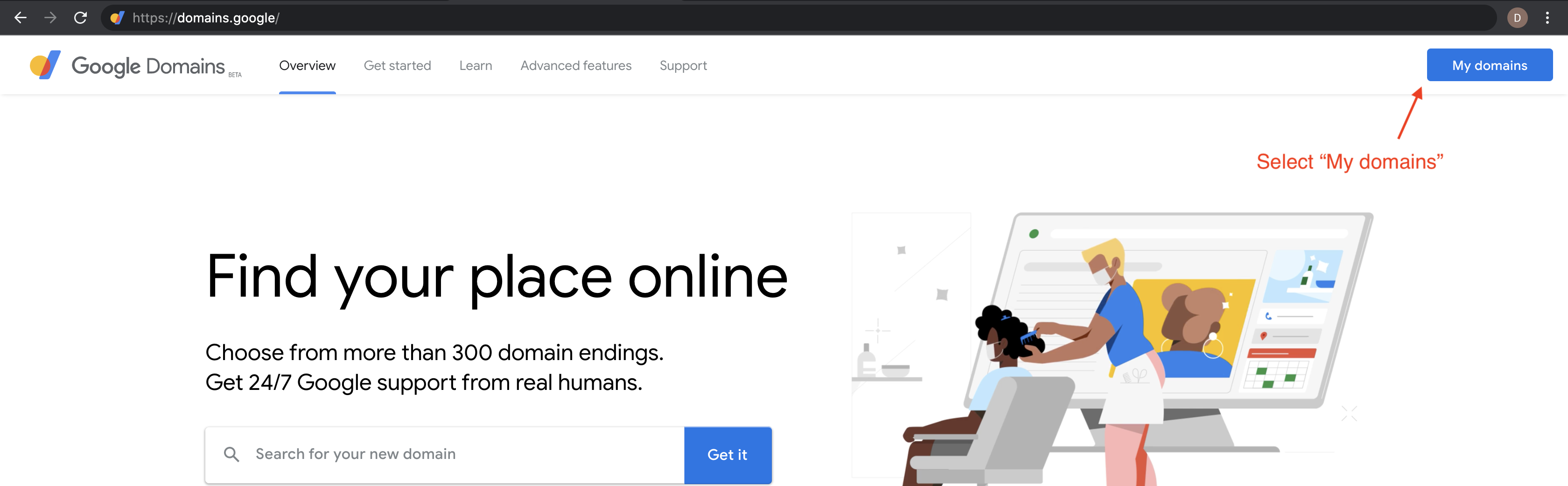 My Domains in Google Domains