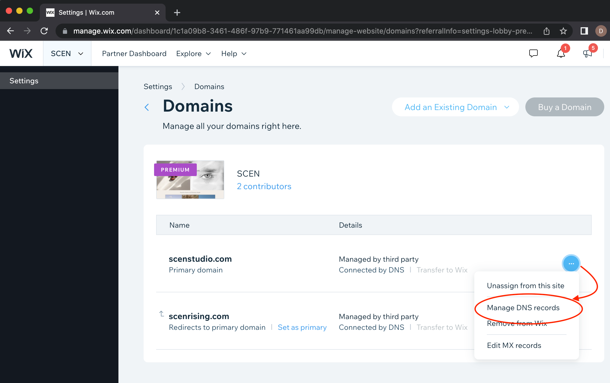 Manage DNS Records in Wix